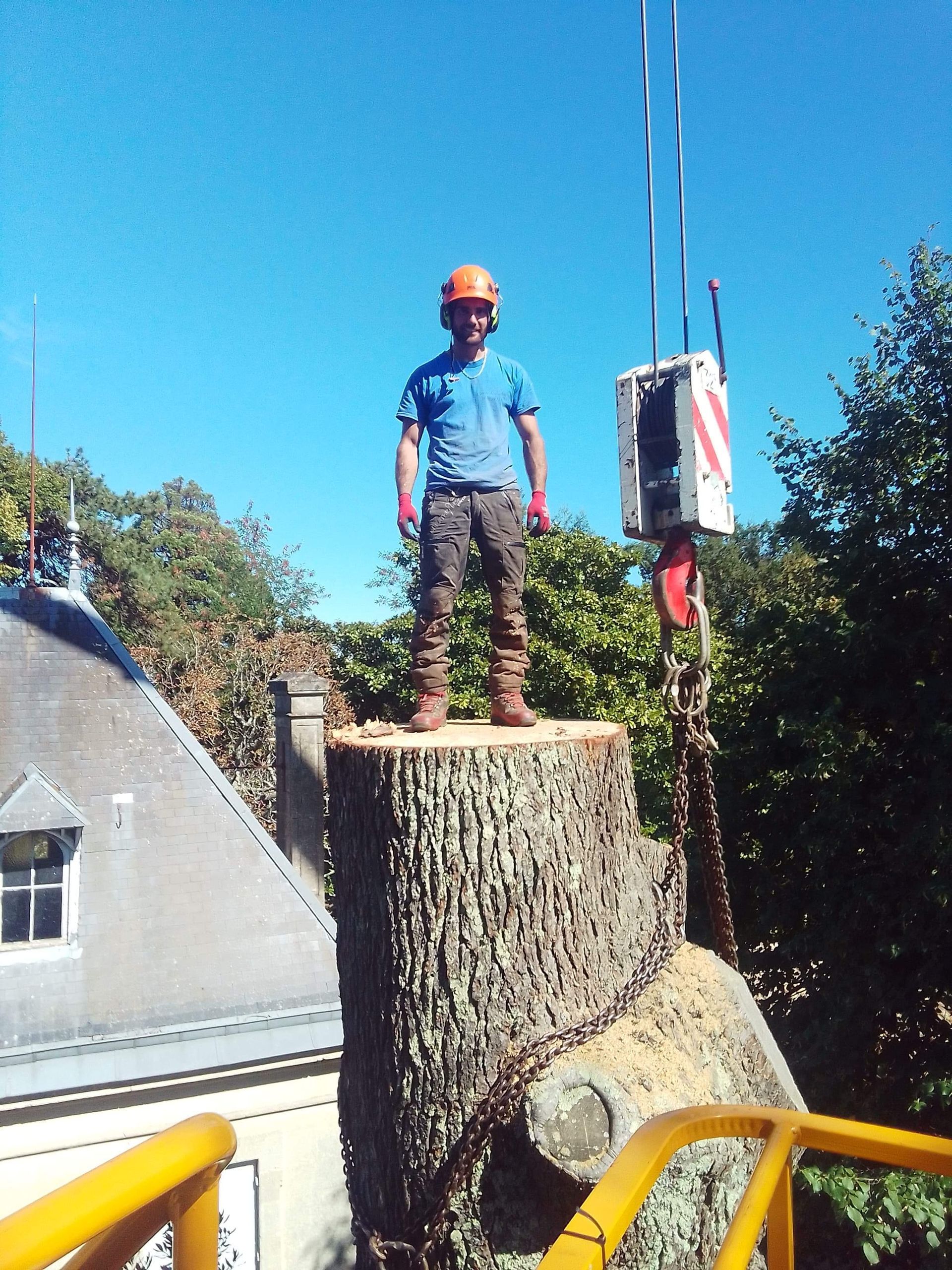 Un ouvrier portant un casque orange se tient debout sur une souche d'arbre à côté d'un poteau électrique, sur fond de ciel bleu.