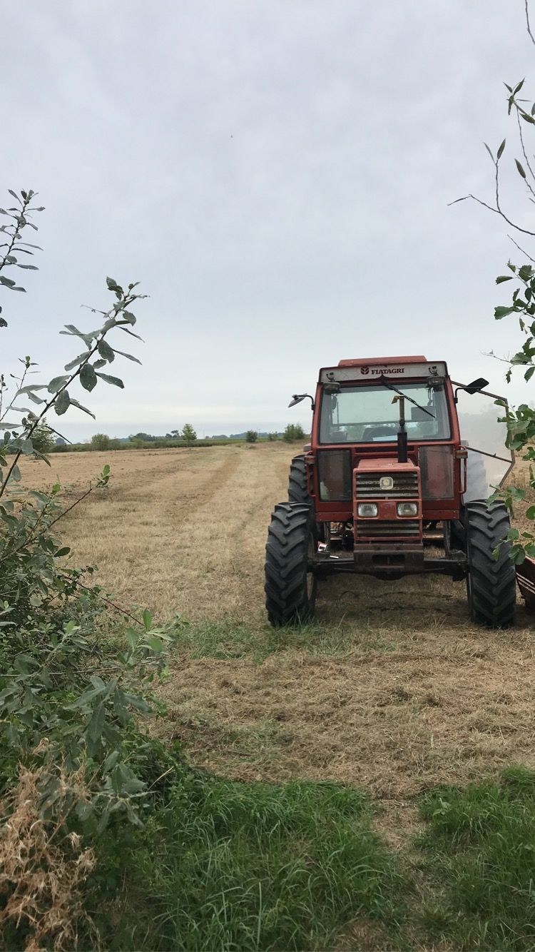 Tracteur rouge stationné dans un champ sec, encadré par de hautes herbes et un ciel nuageux.