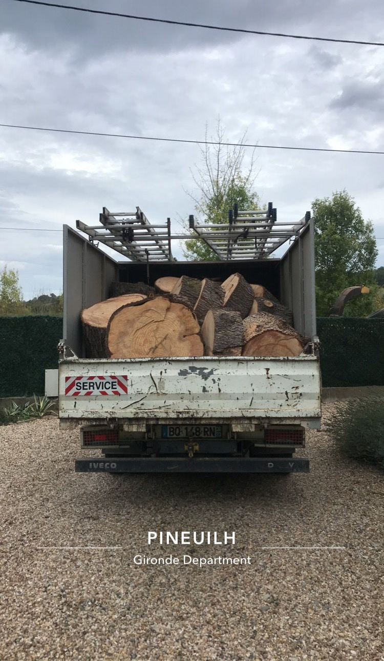 Vue arrière d'un camion-benne blanc chargé de grumes coupées sur un chemin de gravier sous un ciel nuageux