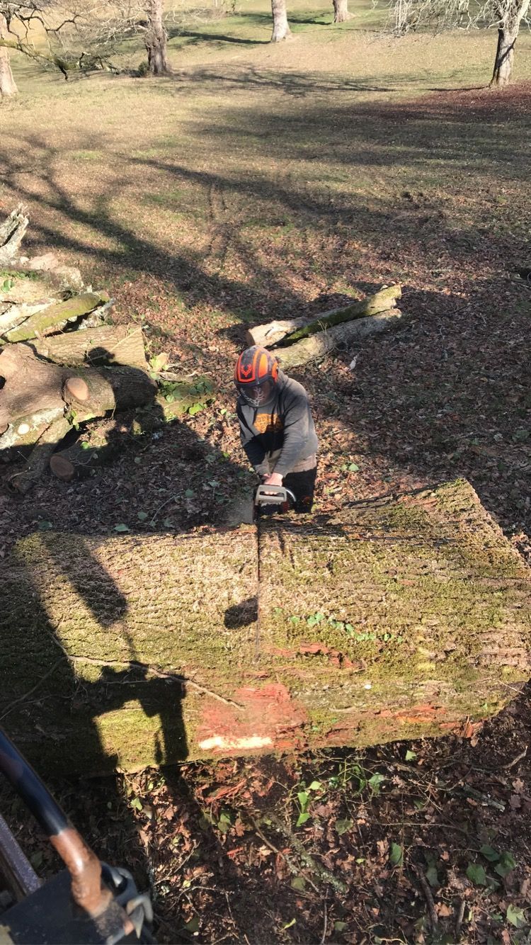Petit coq debout dans une cour avec de l'herbe près de rochers, avec de longues ombres projetées par le soleil.