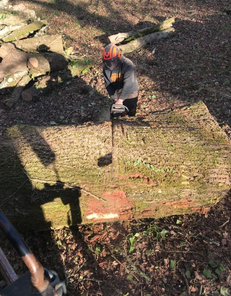 Une personne portant un bonnet rouge et une veste grise est agenouillée sur une bûche dans une zone boisée, tenant un appareil photo.