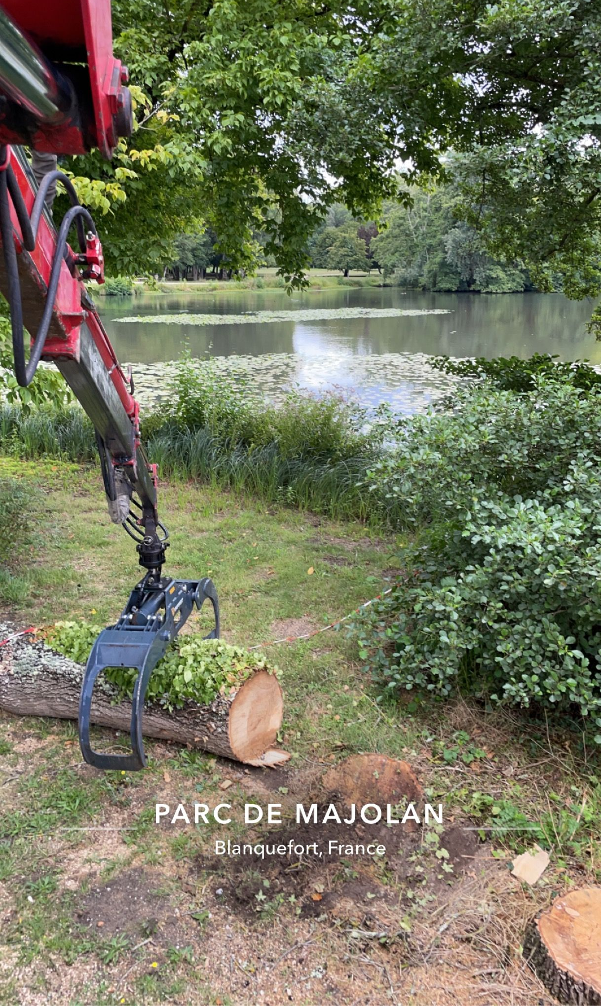 Bras d'excavatrice rouge au bord d'une rivière, coupant un tronc d'arbre dans un parc verdoyant