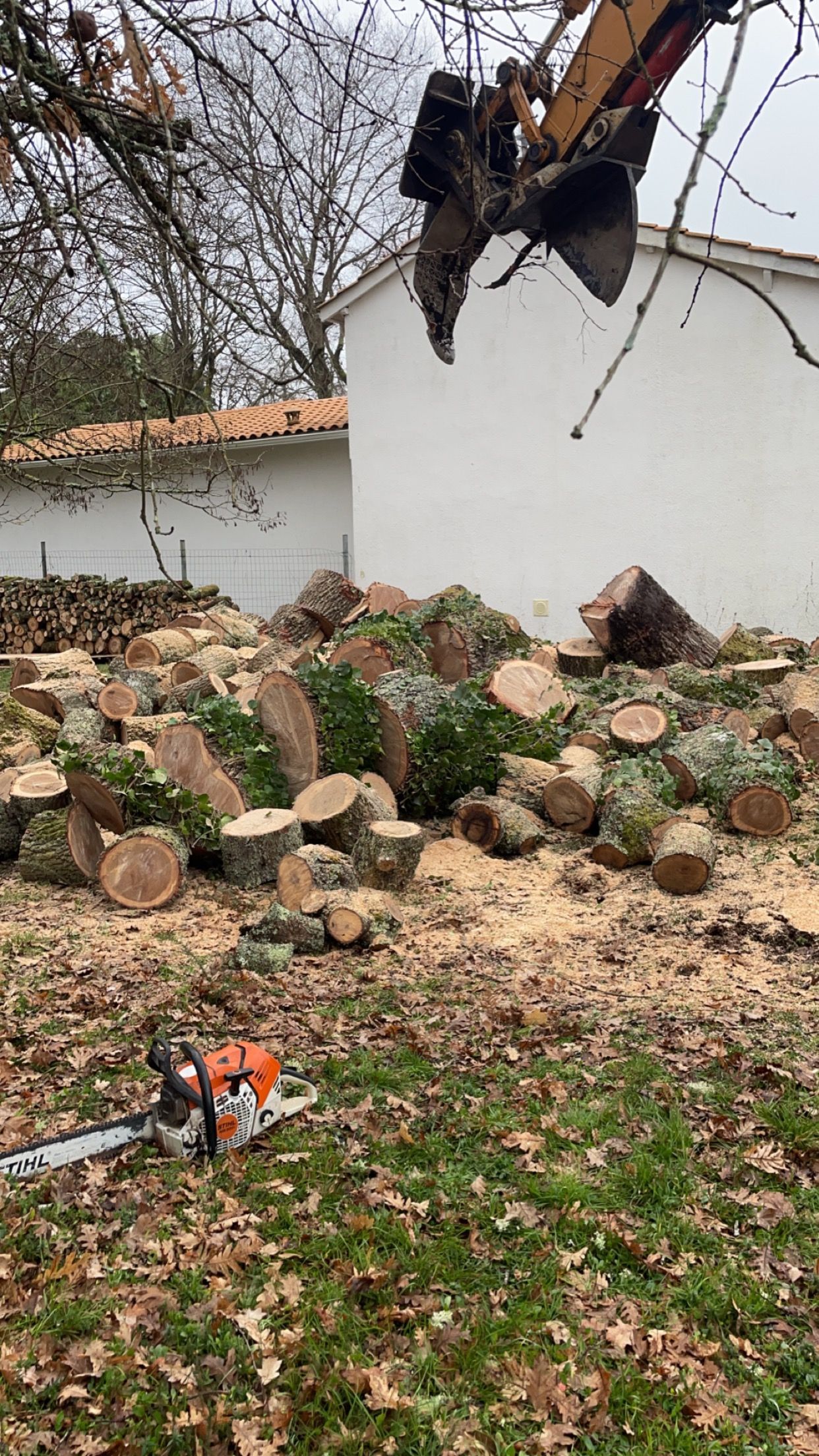Jardin avec des troncs empilées.