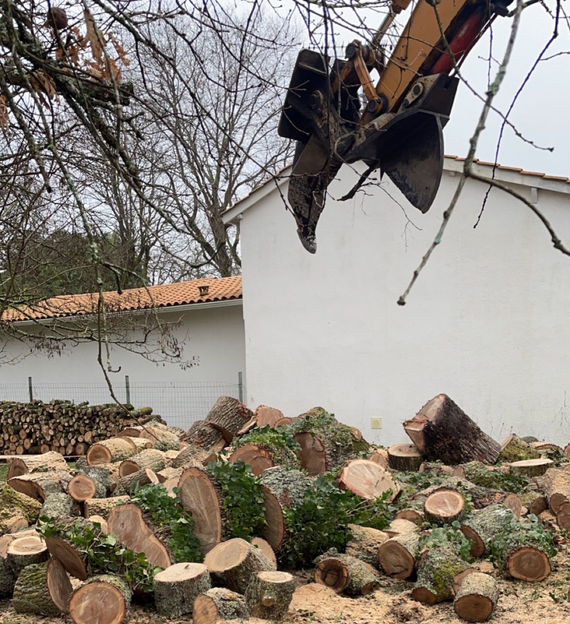 Une excavatrice soulève un tronc d'arbre à côté d'un bâtiment blanc, avec des bûches coupées empilées au premier plan.