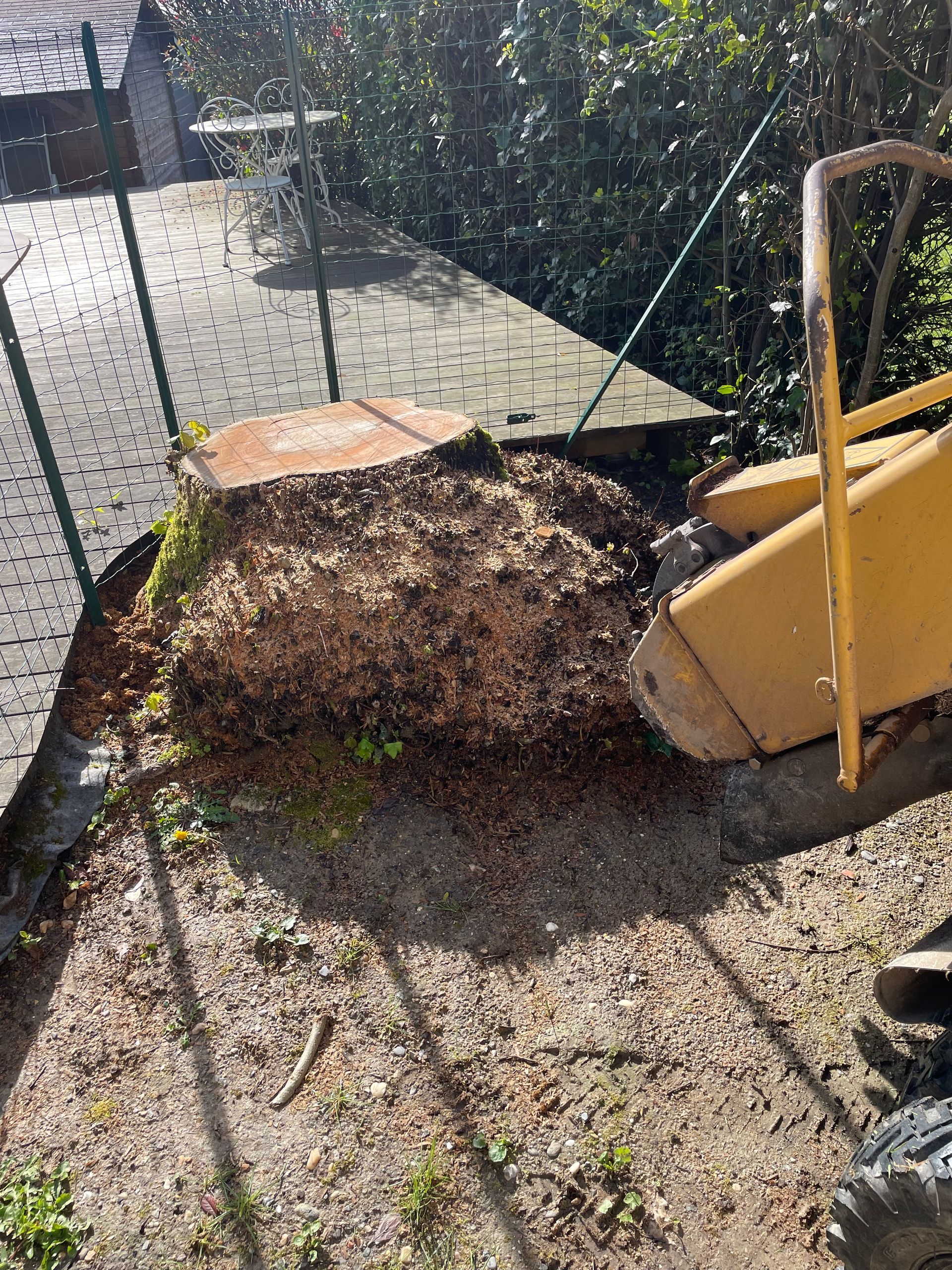 Un tas de paillis ou de compost près d'une clôture en grillage dans une cour ensoleillée, avec un manche de pelle et un objet jaune à proximité.