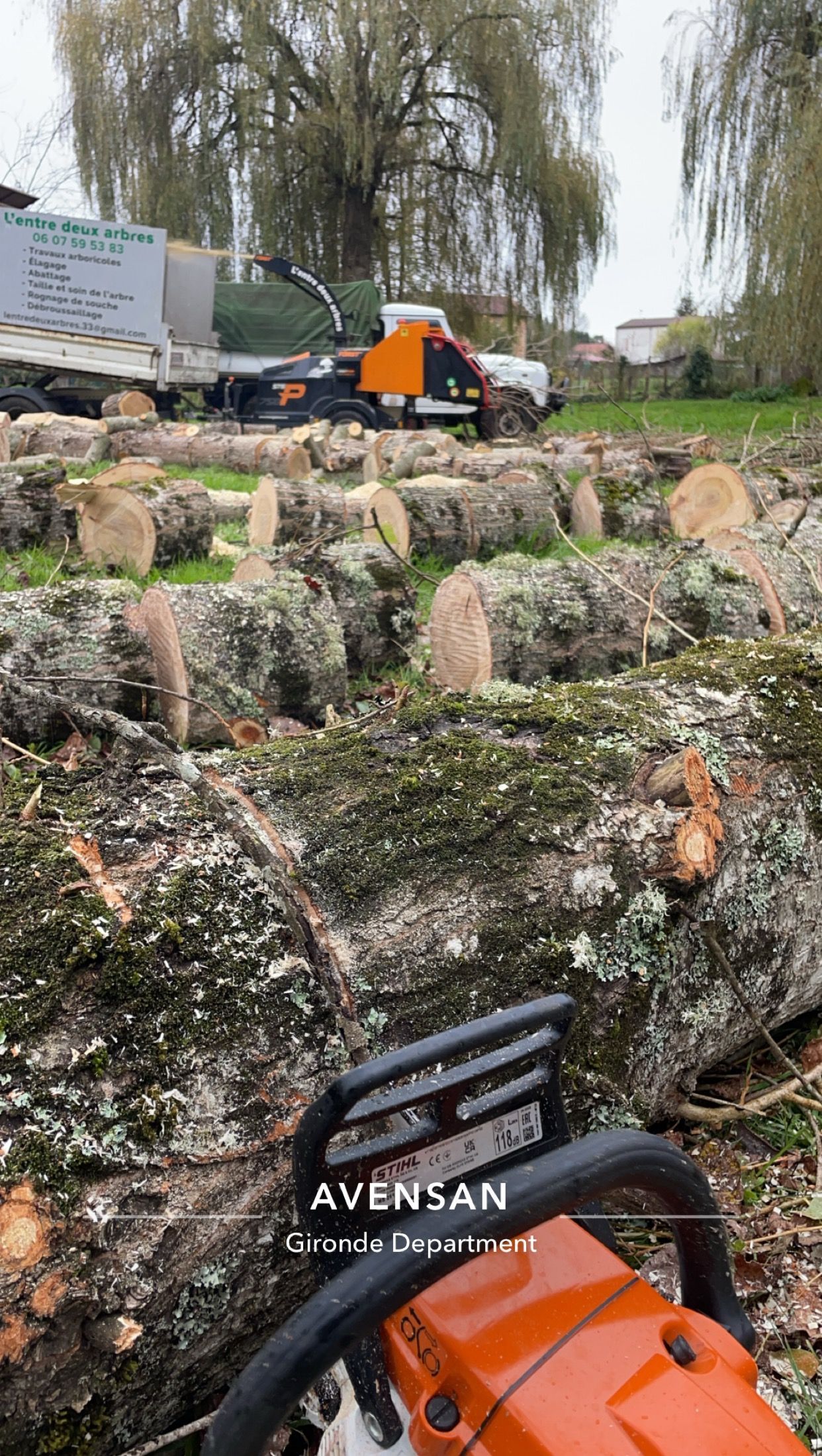 Des souches d'arbre empilées dans une cour, avec une petite tronçonneuse orange et un camion en arrière-plan.