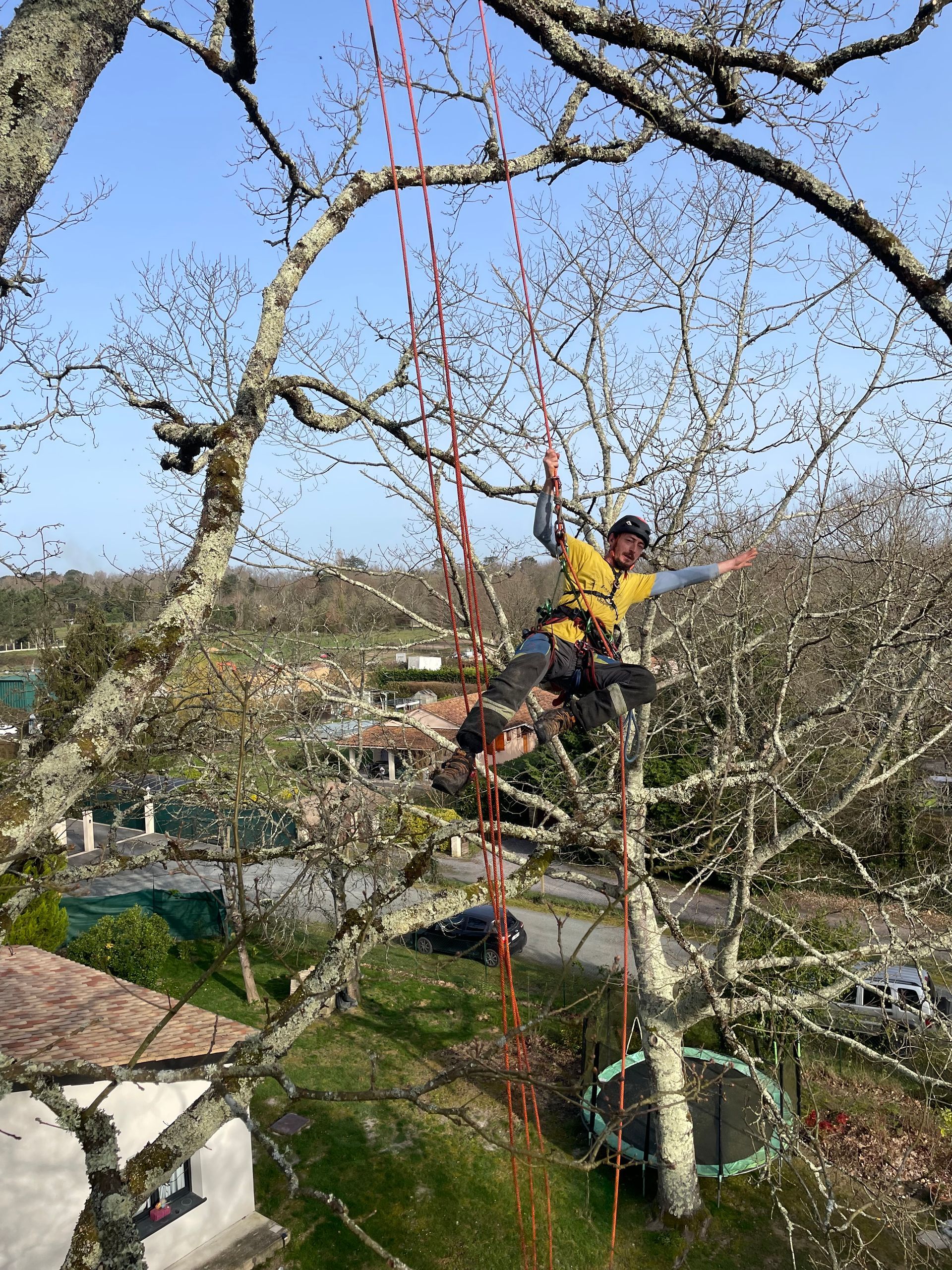 Une personne en veste jaune élague un arbre à la tronçonneuse, debout sur ses branches, sous un ciel bleu.