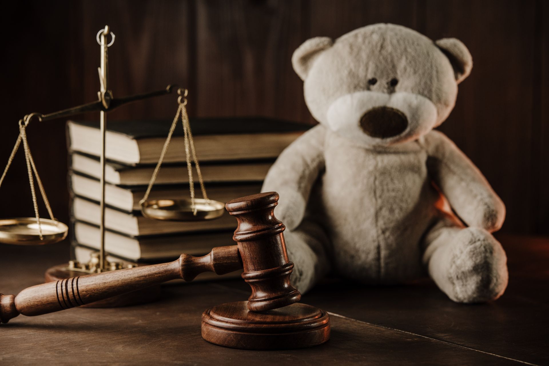 Photo d'une peluche avec des livres derrière, la balance de la justice et le marteau de la justice.