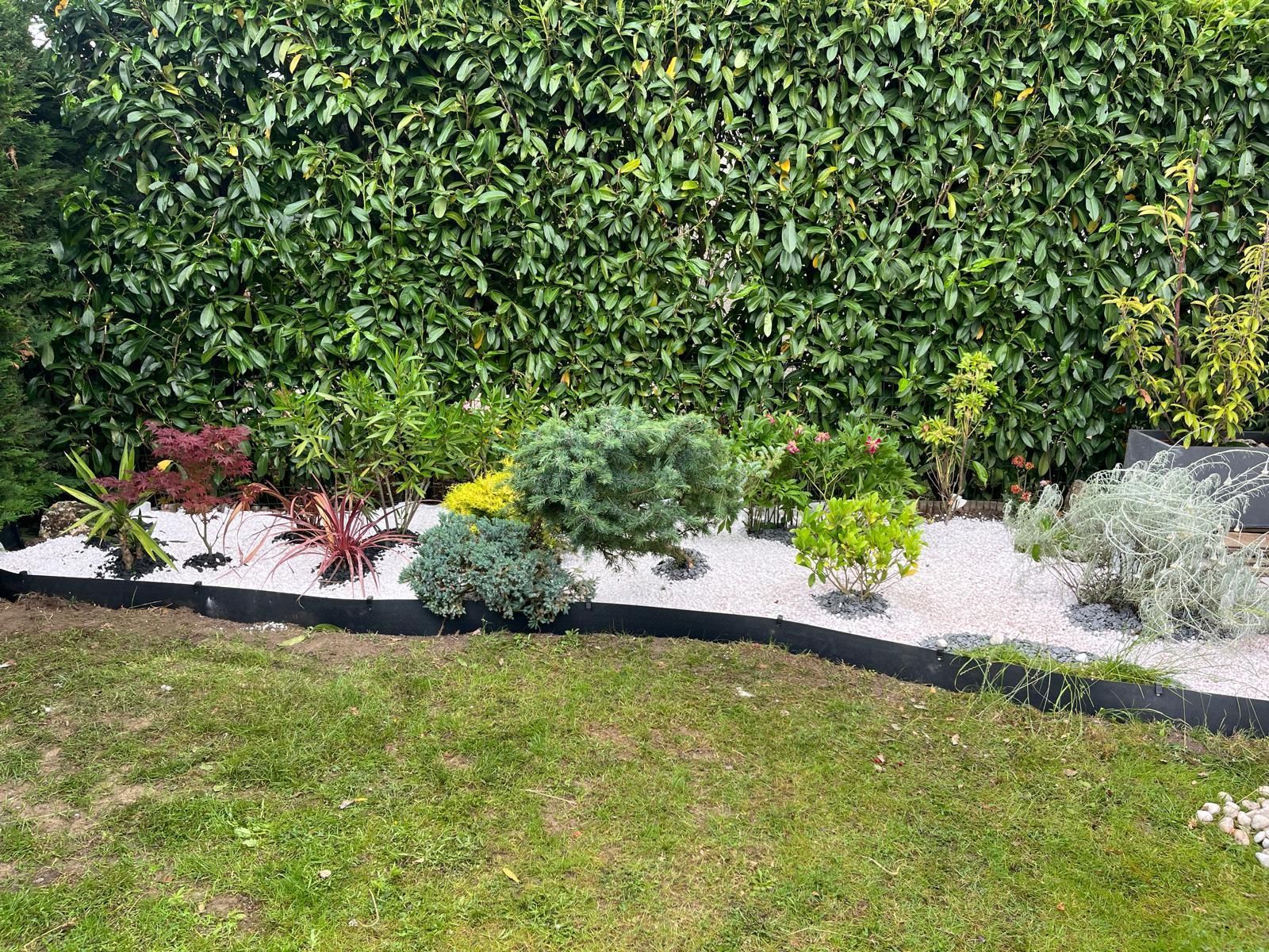 Massif soigné avec arbustes, gravier blanc et pelouse verte devant une haute haie