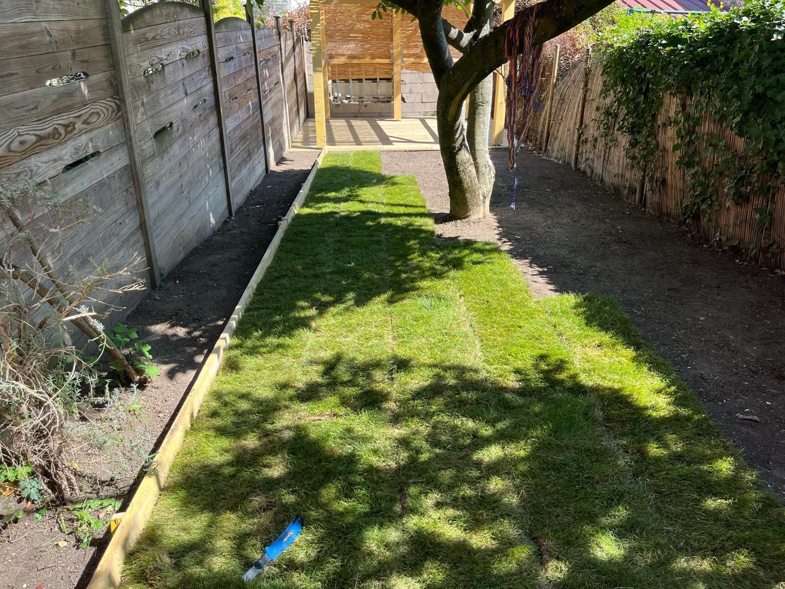 Un étroit sentier herbeux se dessine entre un mur de pierre et une haie, un arbre projetant des ombres au soleil.
