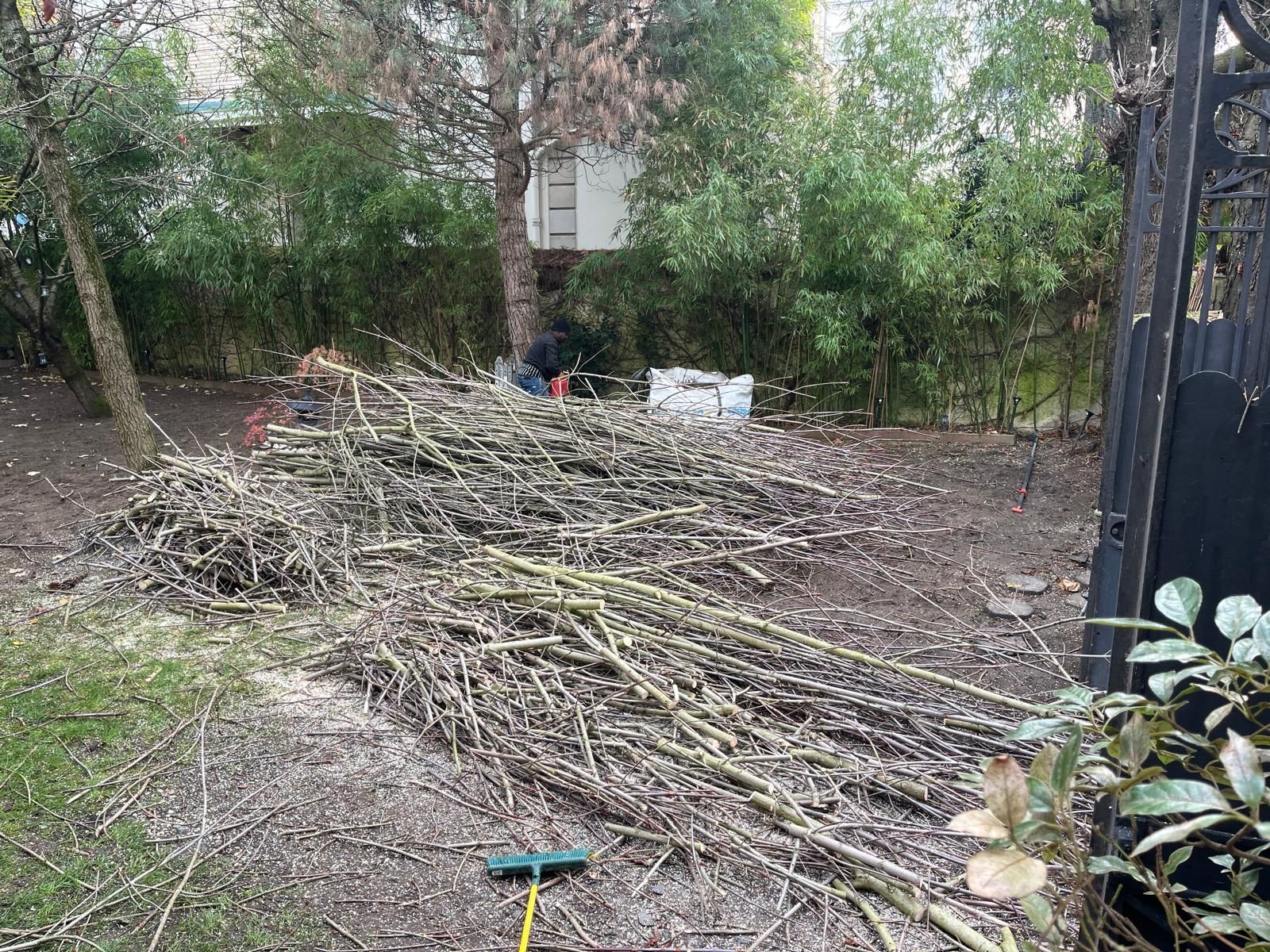 Un tas de branches coupées et de broussailles dans une cour arrière, à côté d'un portail en métal noir et d'arbres.