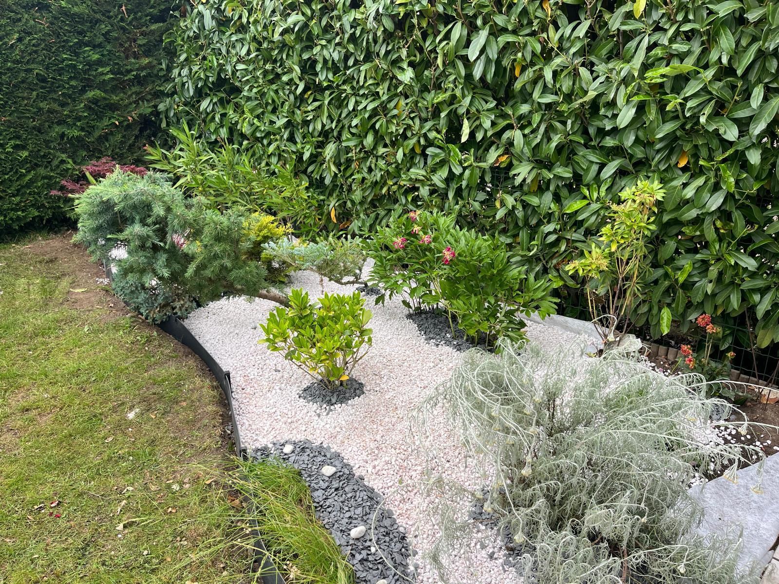 Massif de gravier avec petits arbustes et fleurs, jouxtant une pelouse et une haie.