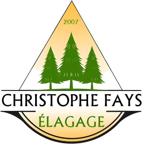 Logo pour Christophe Fays Élagage avec des arbres verts, des accents dorés et « 2007 » au-dessus du nom