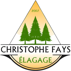 Logo pour Christophe Fays Élagage avec des arbres verts, des accents dorés et « 2007 » au-dessus du nom