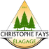 Logo pour Christophe Fays Élagage avec des arbres verts, des accents dorés et « 2007 » au-dessus du nom