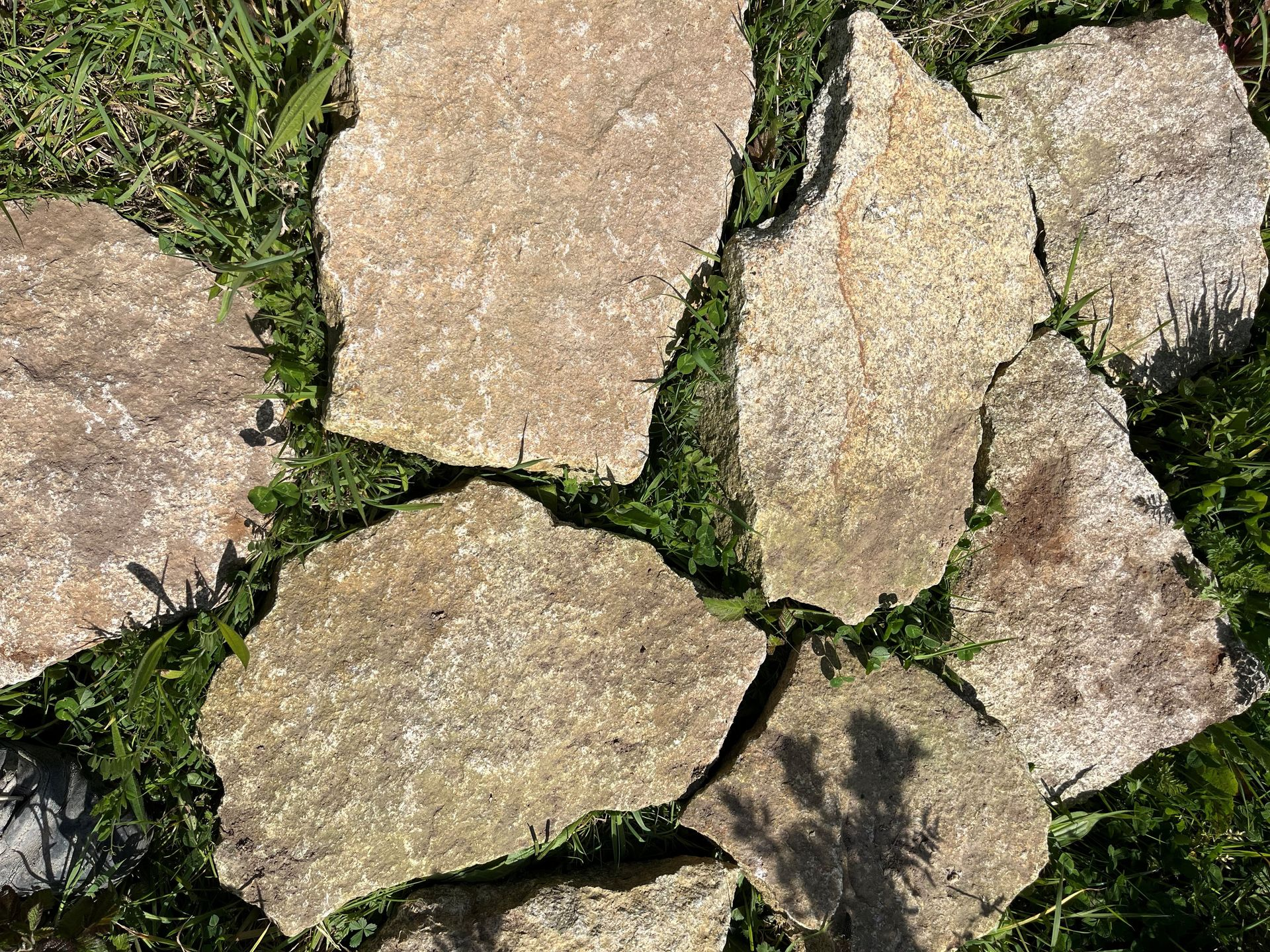 Des dalles irrégulières en pierre beige, disposées sur une pelouse verte, forment une allée de jardin.