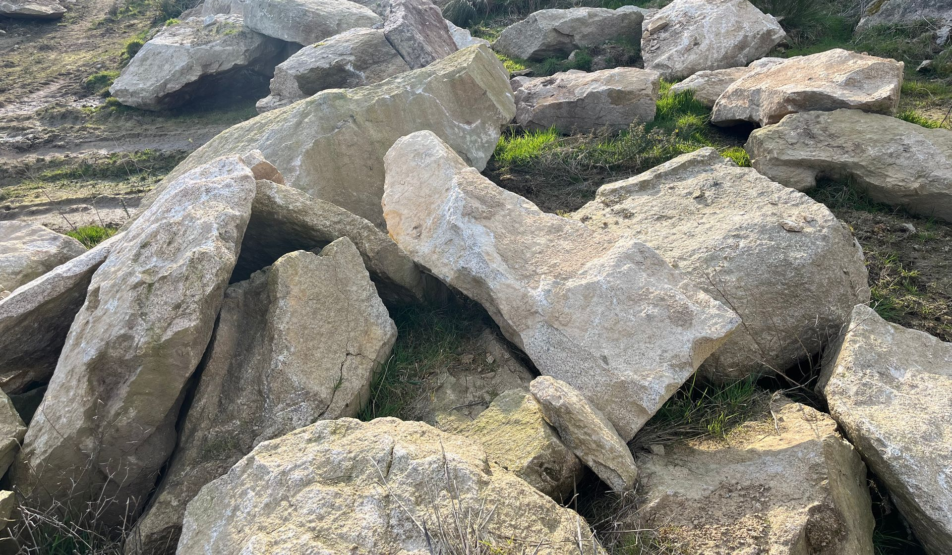 Menhir et Roche pour décoration extérieure
