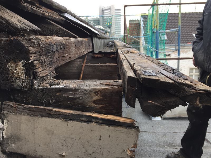 Eine Person steht neben einem großen Stück Holz