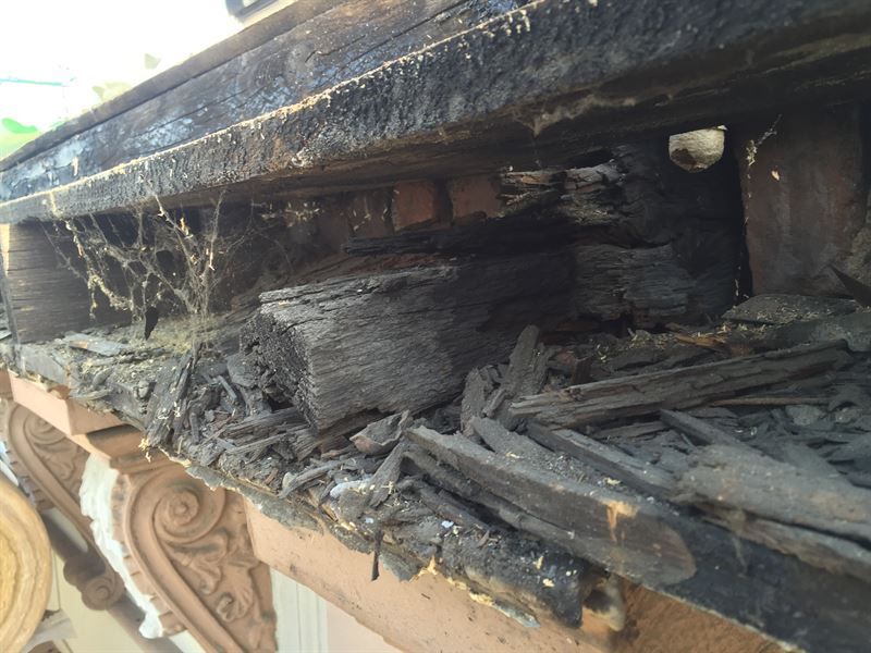 Eine Nahaufnahme von einem Stück Holz mit Spinnweben darauf