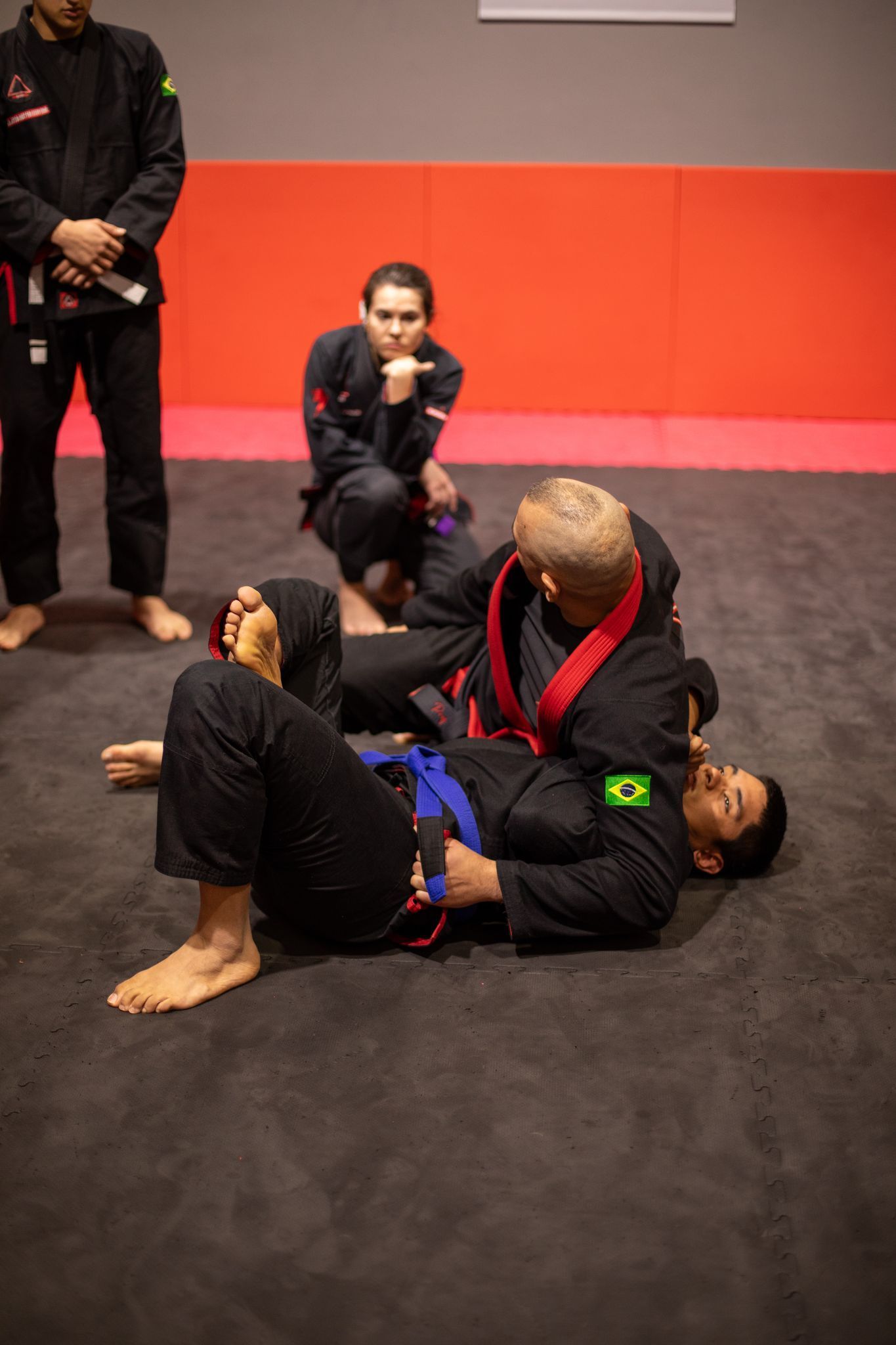 Un grupo de personas está practicando artes marciales en un gimnasio.