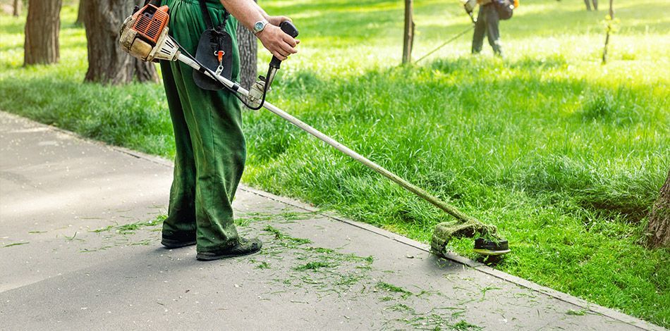 Ouvrier utilisant une débroussailleuse thermique en bordure d’une allée