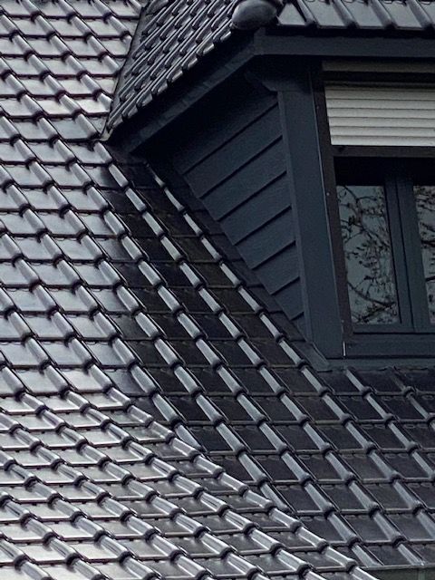 Couverture noire avec fenêtre de toit