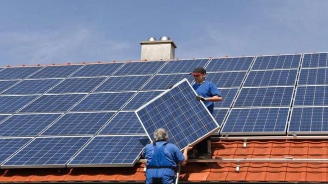Panneaux solaires sur un toit et buissons