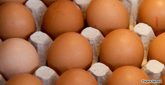  Vente d'œufs sur les marchés de Bordeaux, Pessac, La Teste-de-Buch 