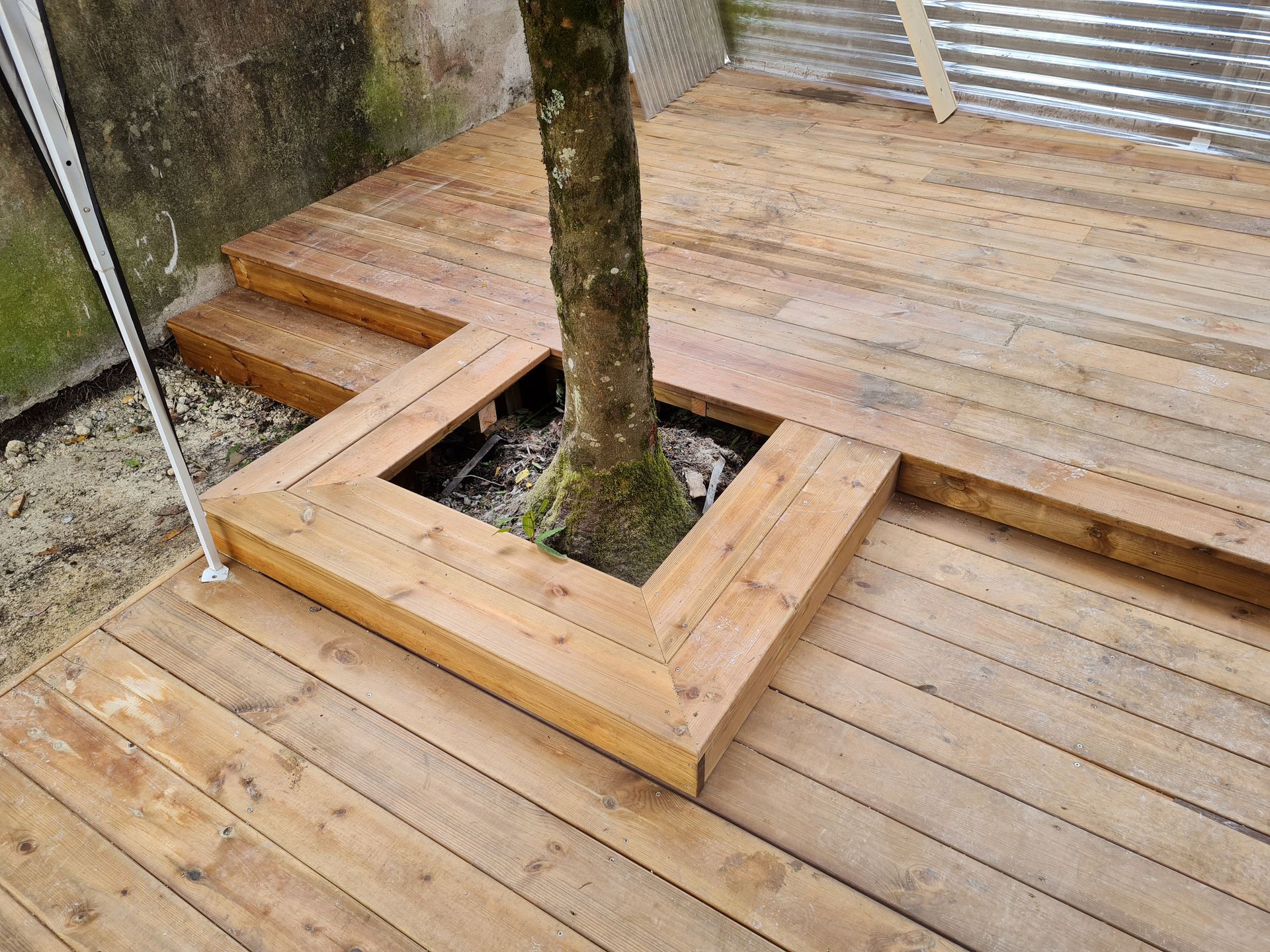 Terrasse en bois avec plusieurs niveaux et entourant un tronc d'arbre
