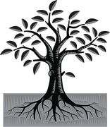 Logo Pascal GRAPIN