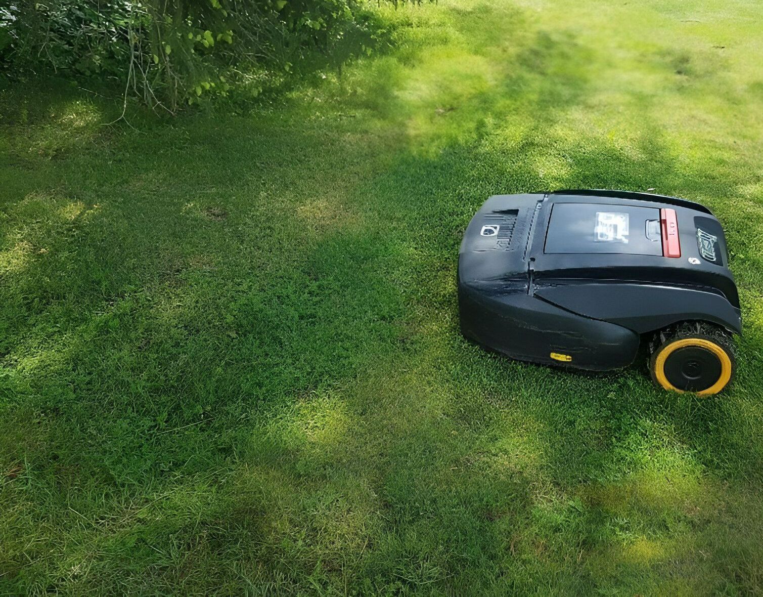 Pelouse en cours de tonte par un robot