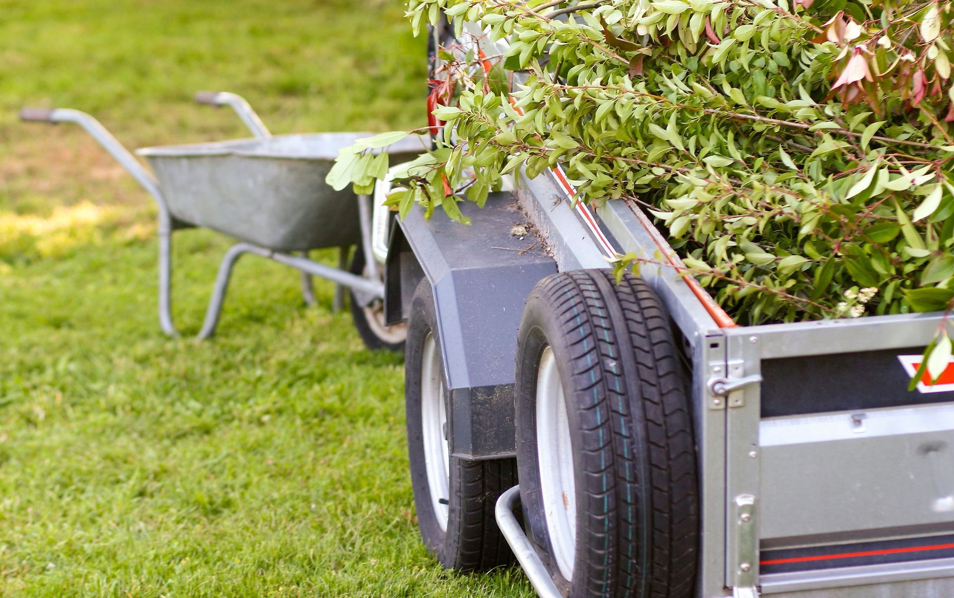 Remorque chargée de végétaux