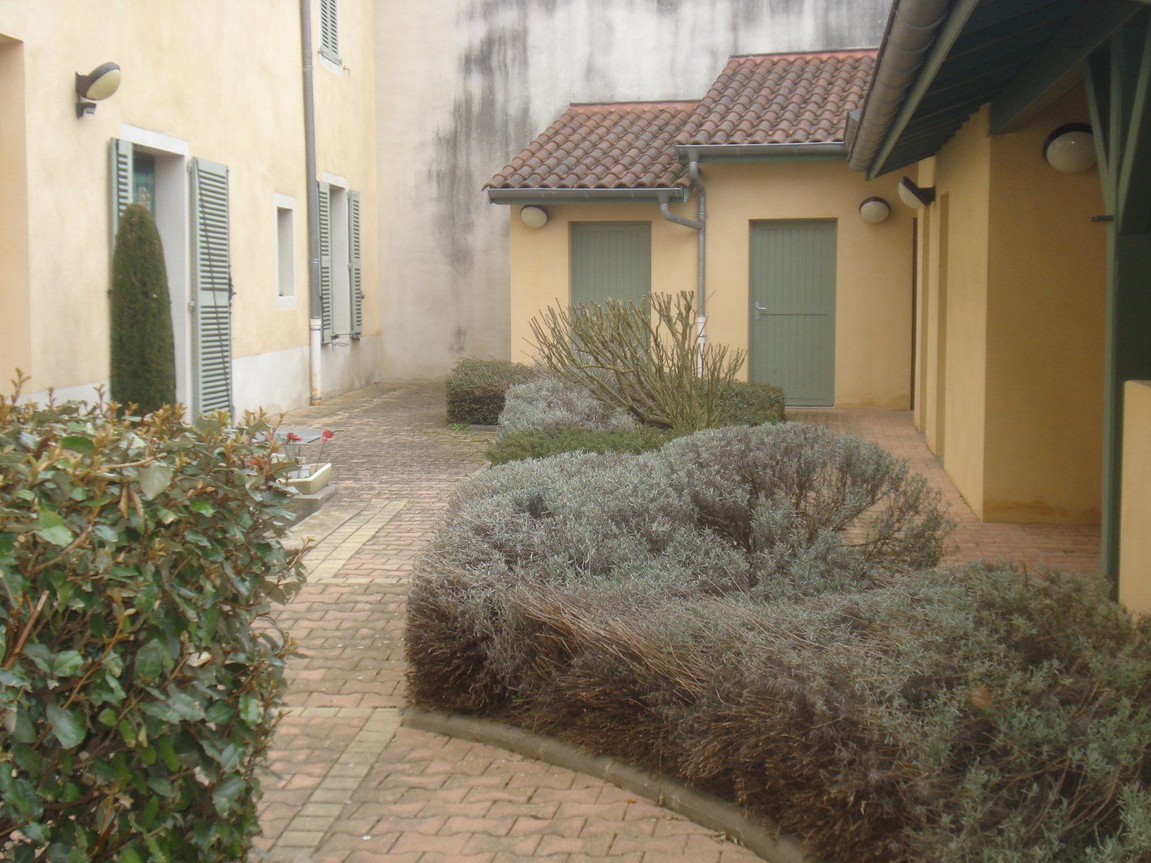 Petite cour intérieure