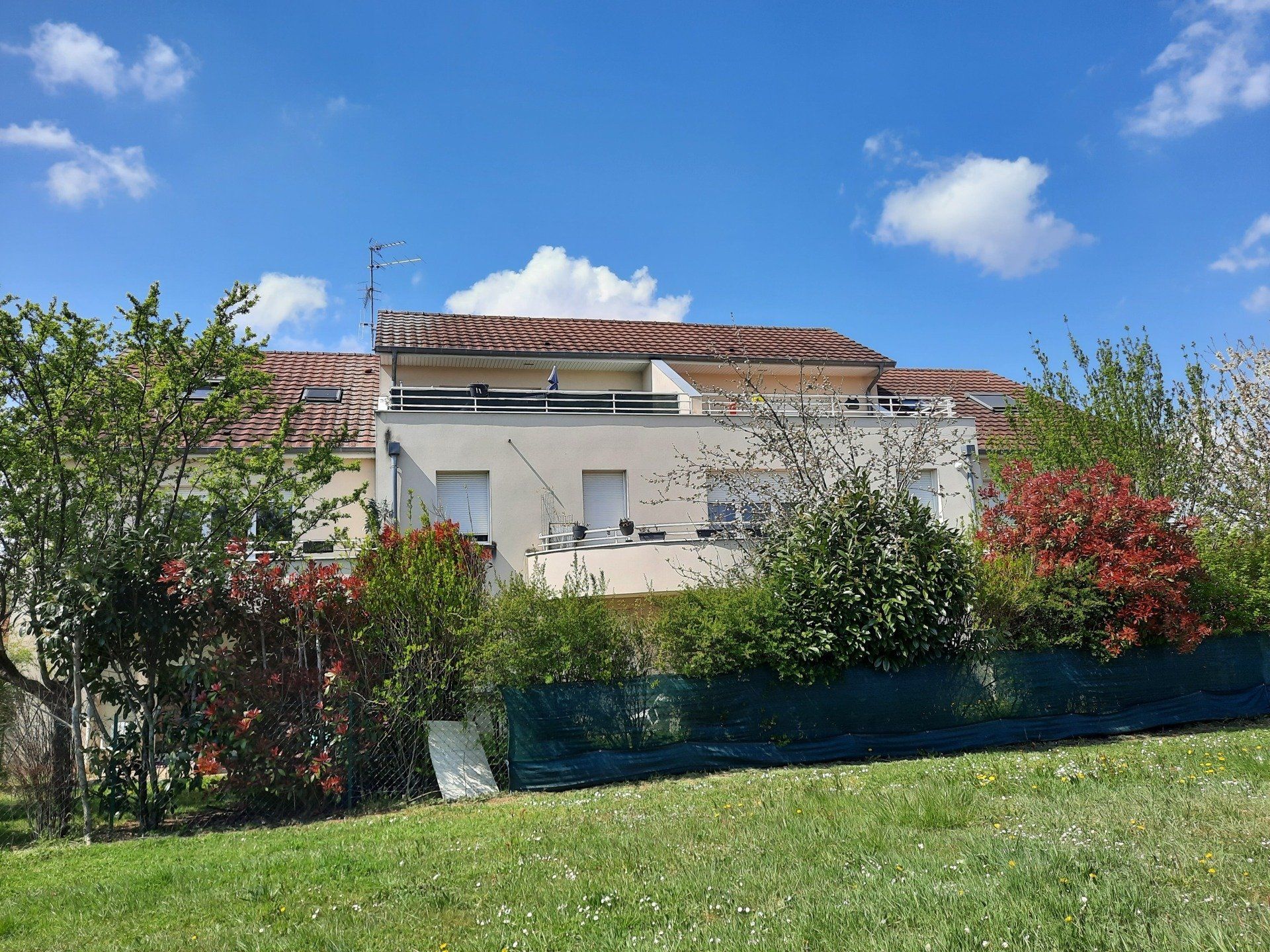 Maison avec arbustes