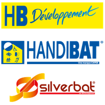 Handibat silverbat