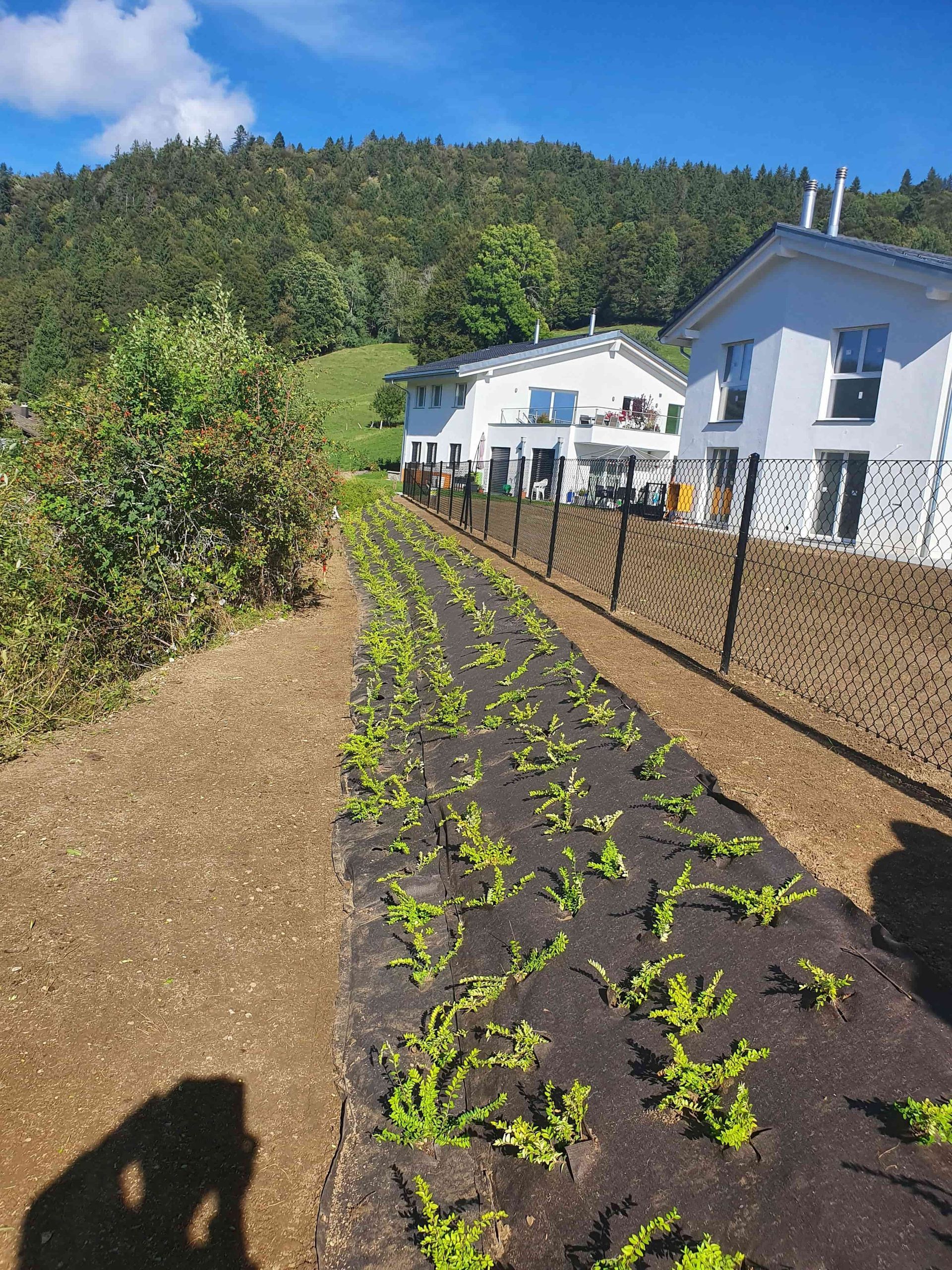 Pose de gazon - entretien de gazon - J.R. Polyvalent Sàrl