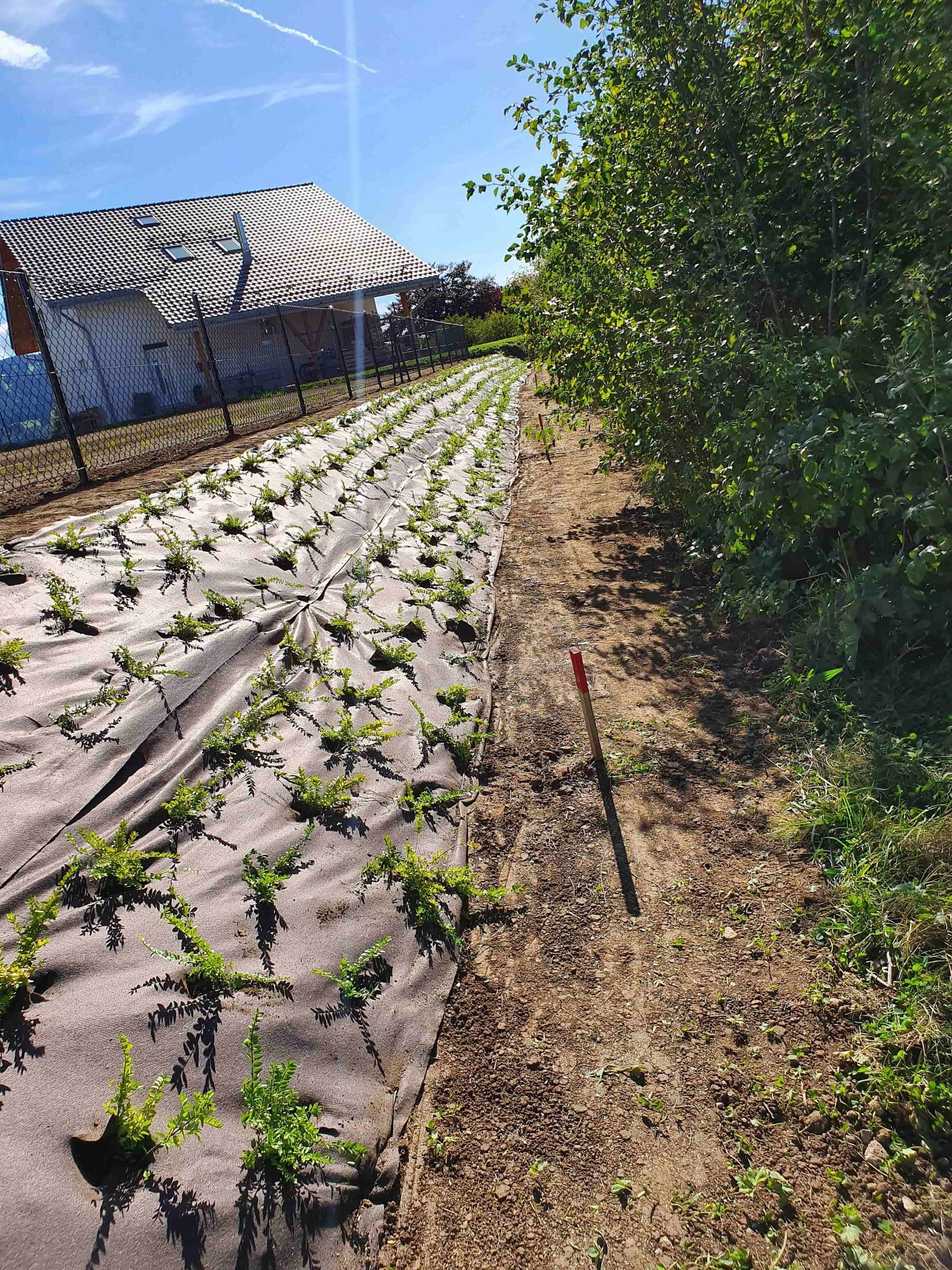Pose de gazon - entretien de gazon - J.R. Polyvalent Sàrl