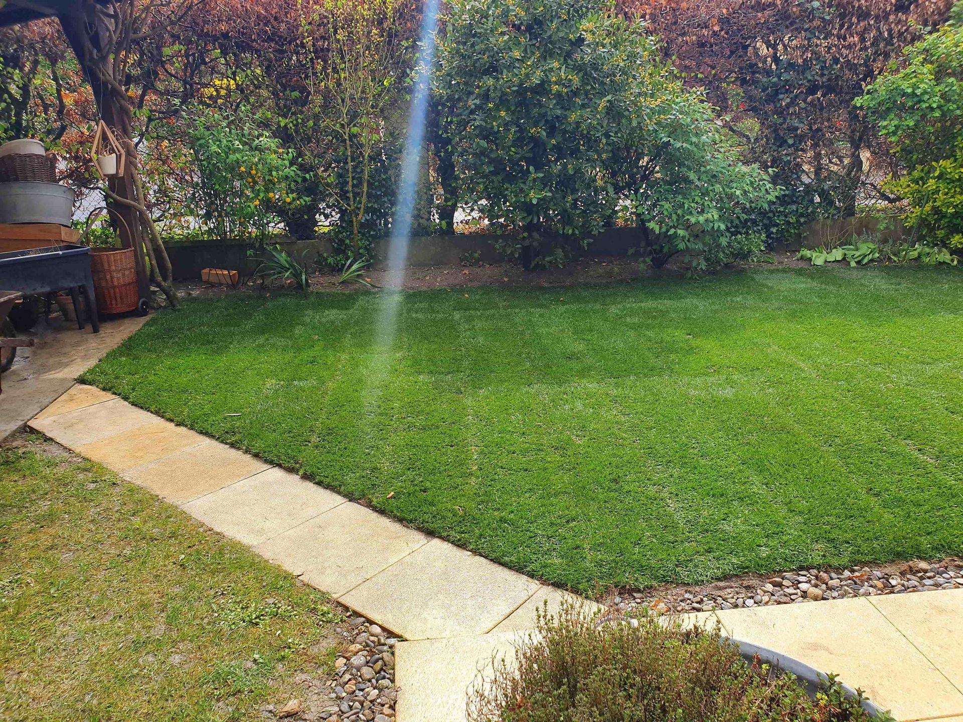 Pose de gazon - entretien de gazon - J.R. Polyvalent Sàrl