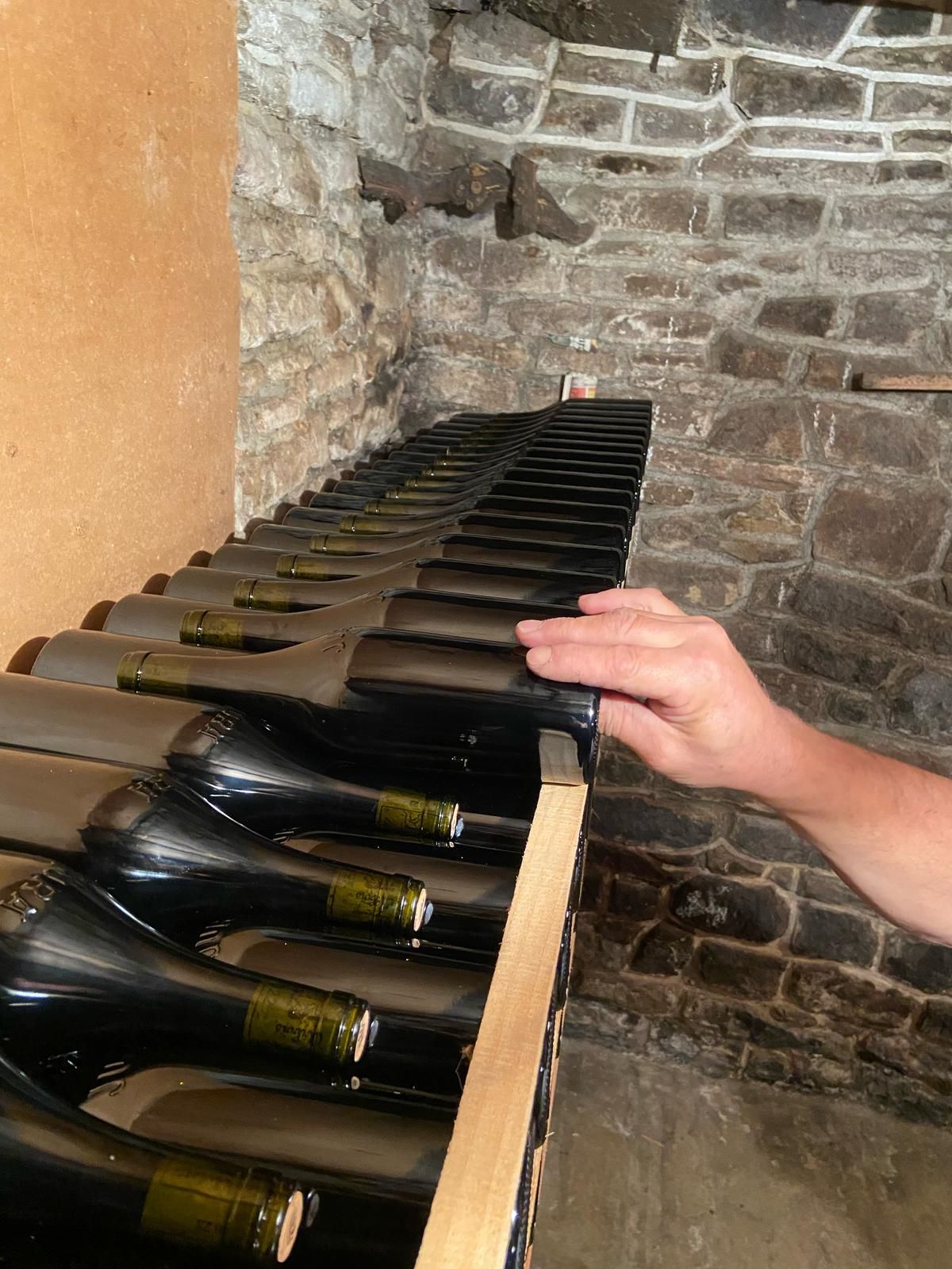 Plusieurs bouteilles de vin non étiquetées