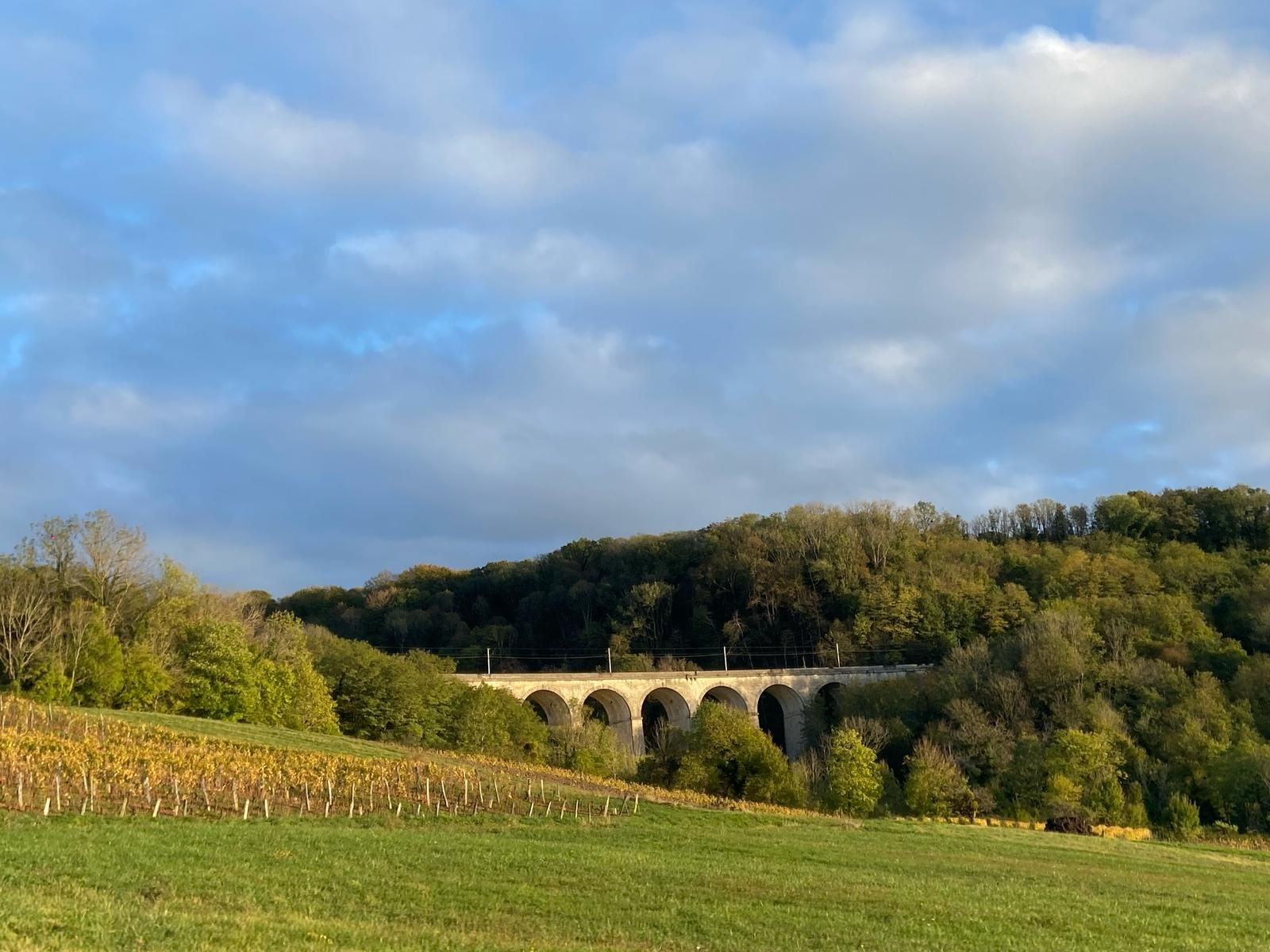 Vignes et paysage avec viaduc