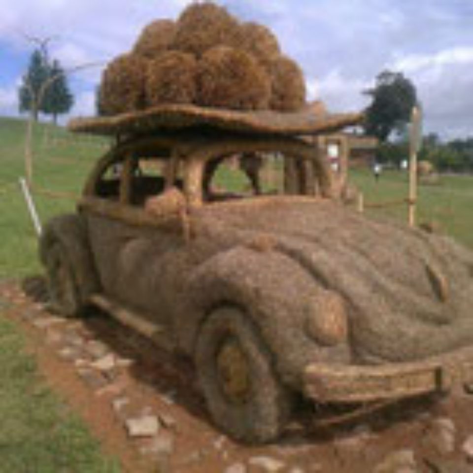 Taxi aus Naturstoffen