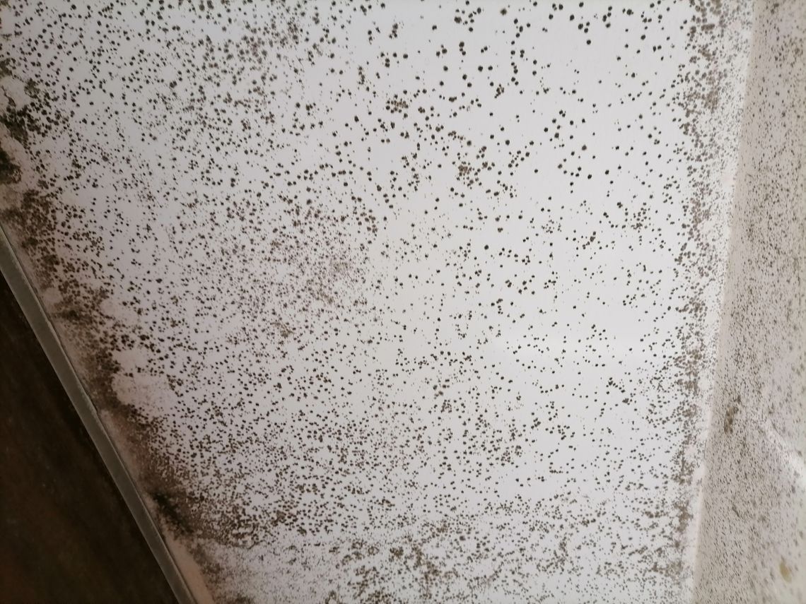 Un primer plano de una pared blanca con manchas negras.