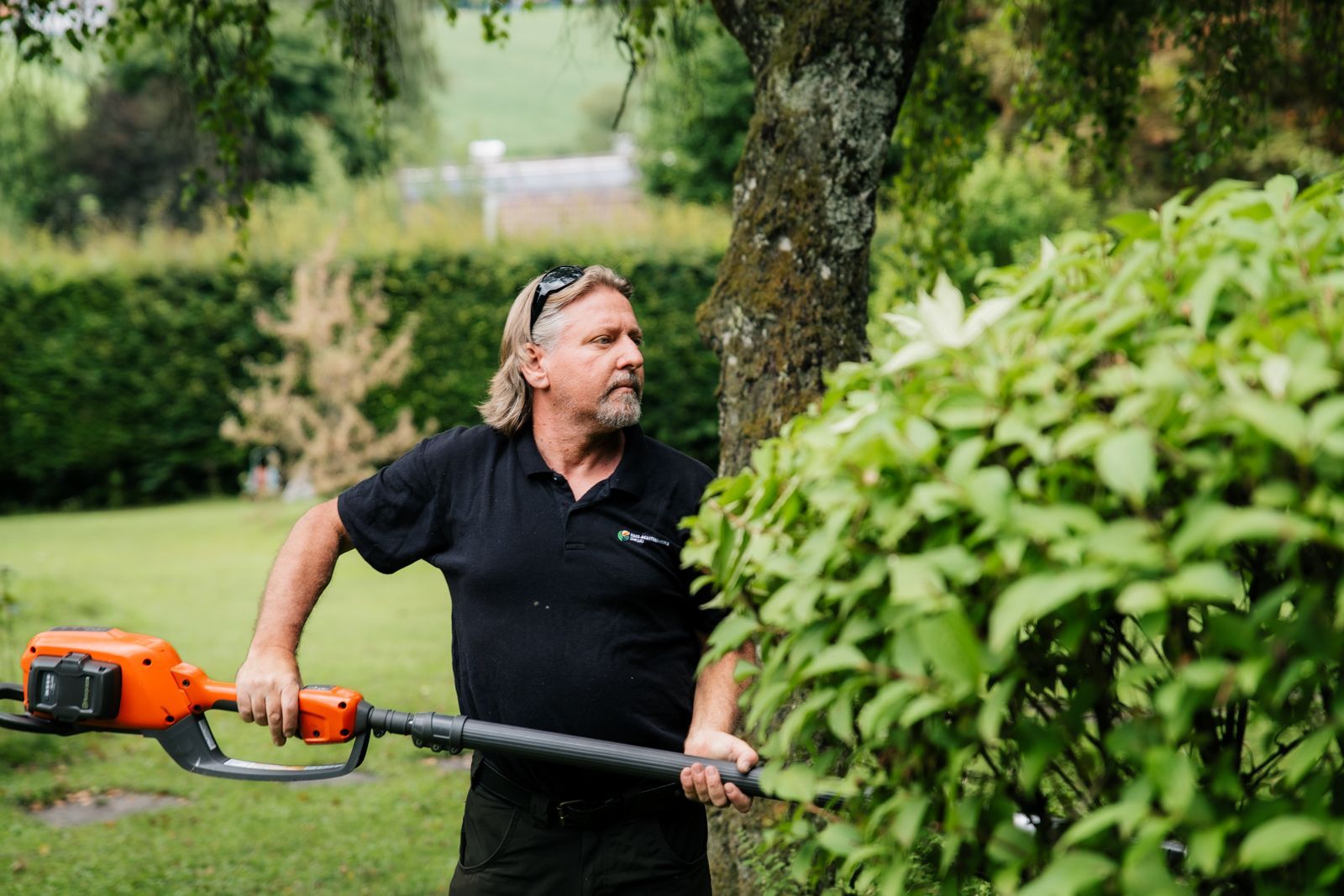 Ein Gärtner schneidet mit einer Heckenschere und Rasenmähern die Hecke neben einem Rasen.