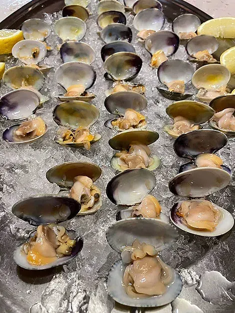 Una bandeja de almejas sobre hielo con una rodaja de limón.