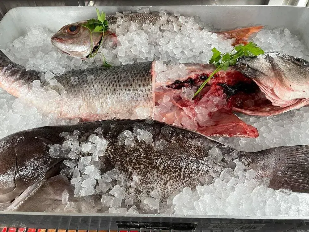 Dos peces están sentados sobre hielo en una bandeja.