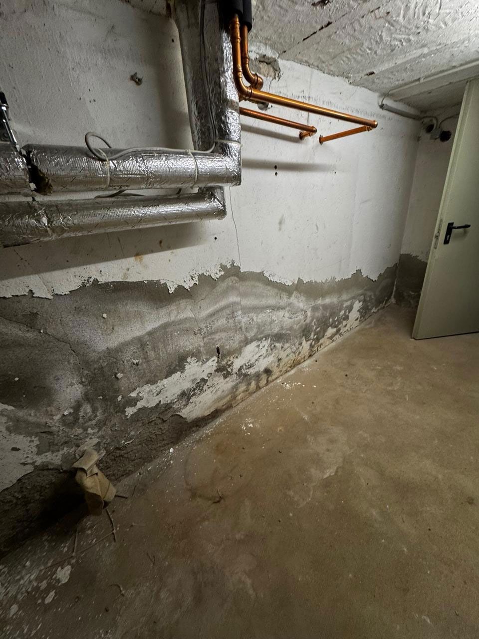 Kellerwand mit Wasserschäden, abblätterndem Putz, freiliegenden Rohren und einem Betonboden.