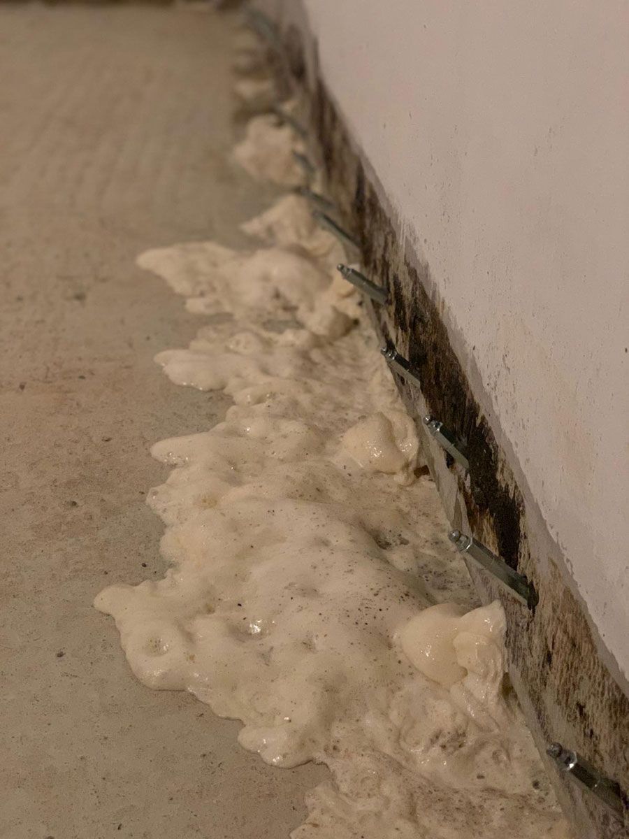 Weißer Schaumansatz entlang der Wandbasis auf einem Teppichboden