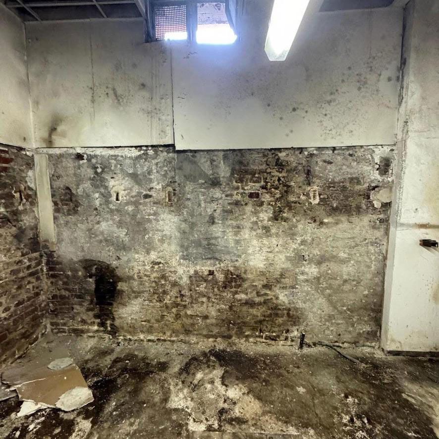 Schimmelbedeckte Kellerwand mit abblätternder Farbe und fleckiger Betonboden unter Neonlicht