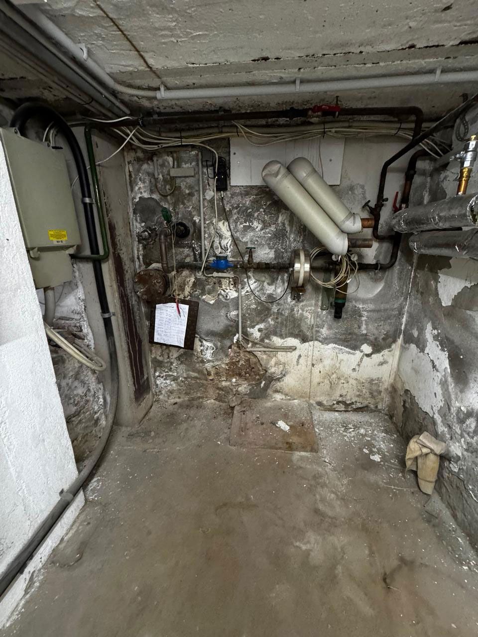 Feuchter Kellerraum mit freiliegender Ziegelwand, Rohren, kleinem Fenster und nassem Betonboden.