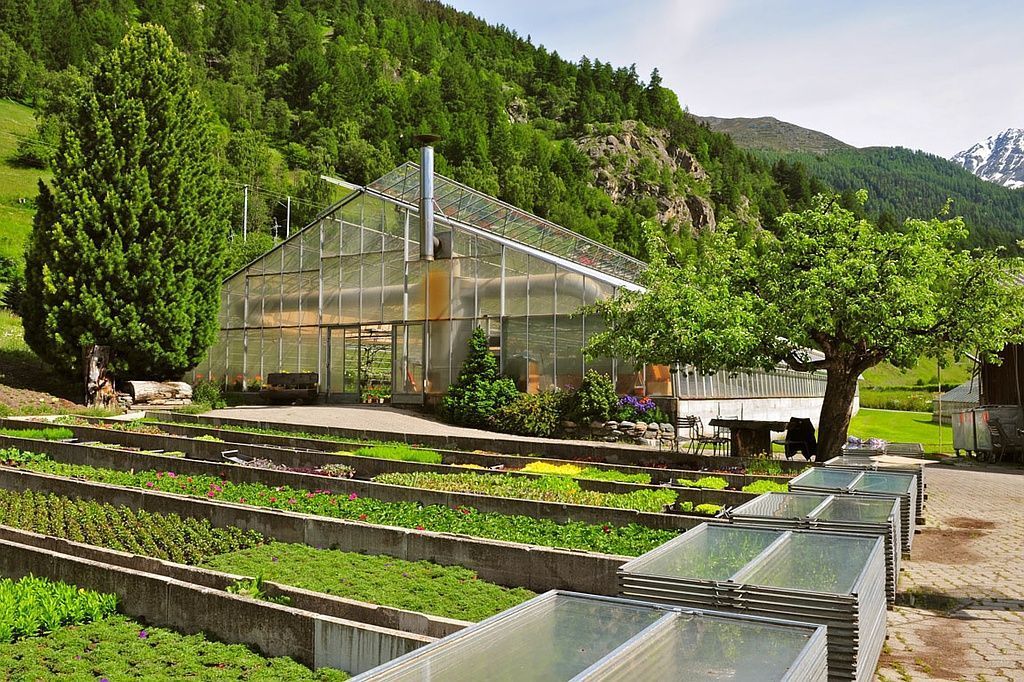 Gärtnerei - Giardinaria Müller SA - Susch | Engadin - Susch